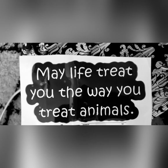 Meet your Posher, Dyan - Picture 11 of 11